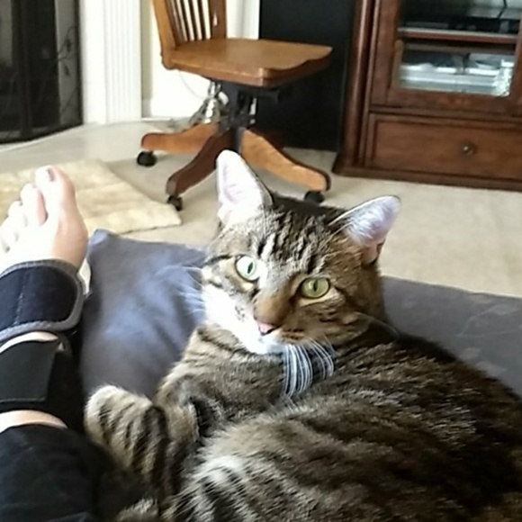 Meet your Posher, Ronda - Picture 6 of 8